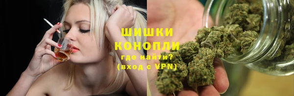 шишки Киренск