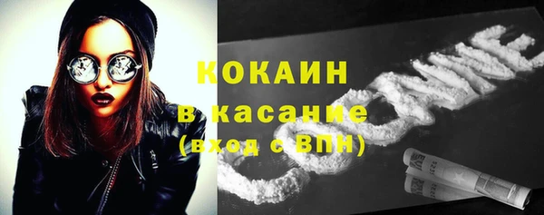 сатива Козельск