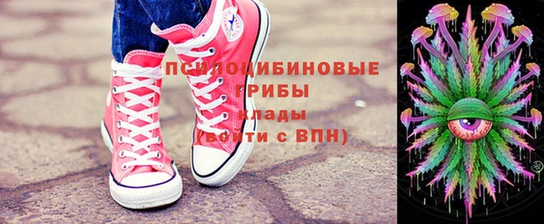 сатива Козельск