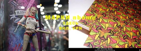 шишки Киренск