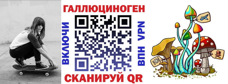 Галлюциногенные грибы мицелий сколько стоит Киселёвск